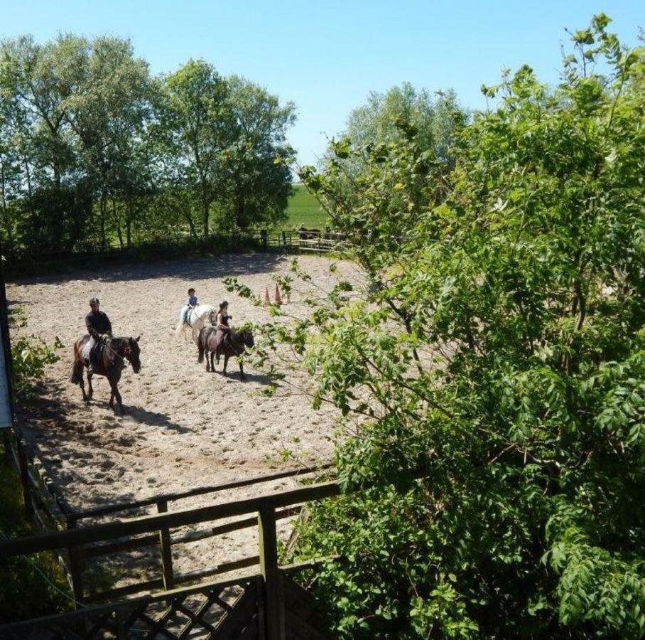 Ferienhof Frerichs Ihr Feriendomizil Am Meer Schillig Eksteriør billede